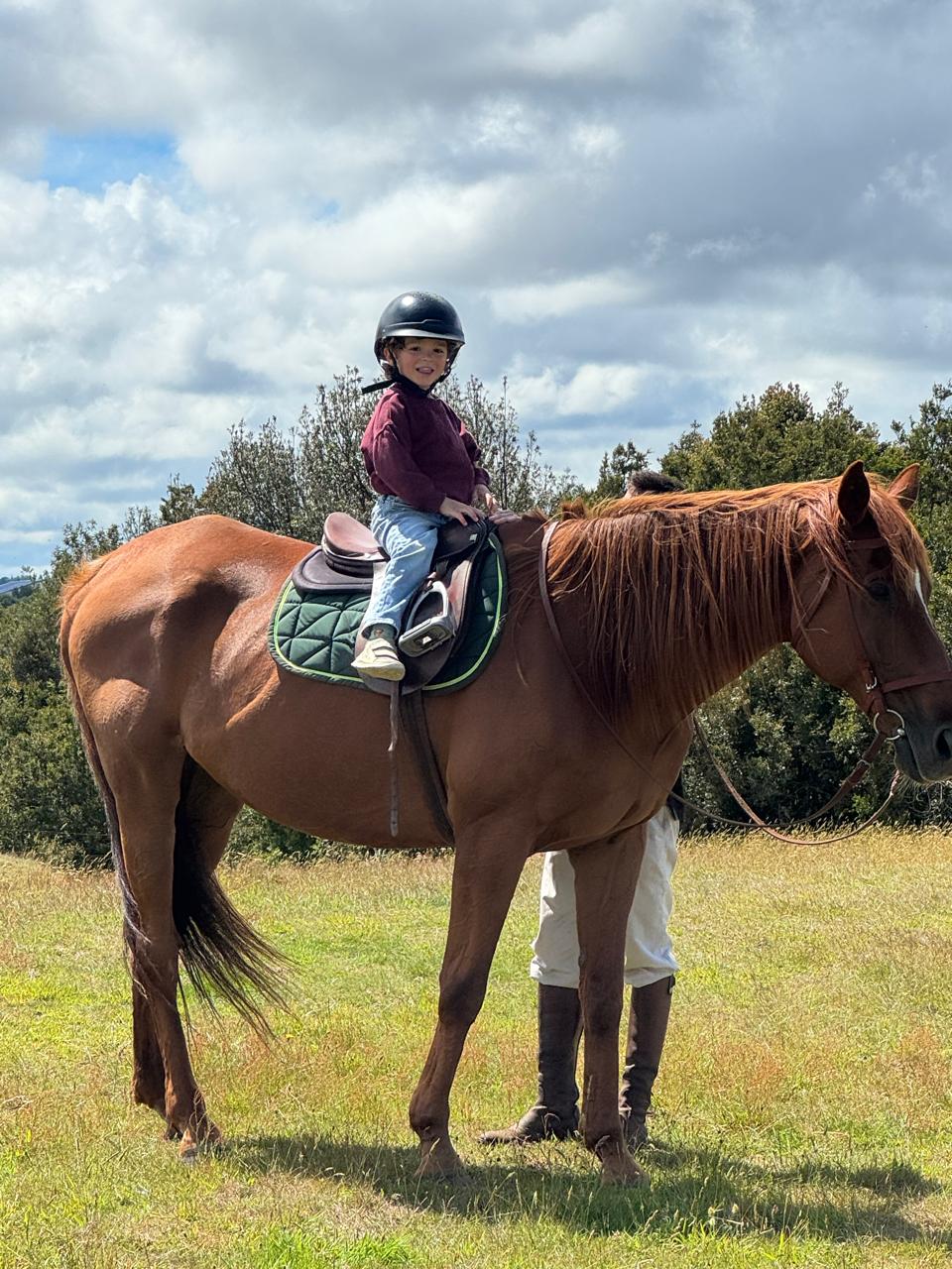 Clases de equitación