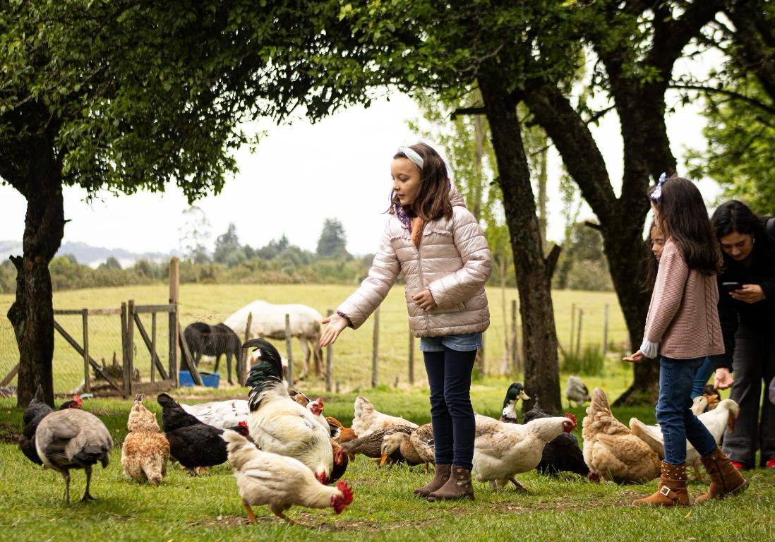 Cumpleaños Entre Amigos del Campo