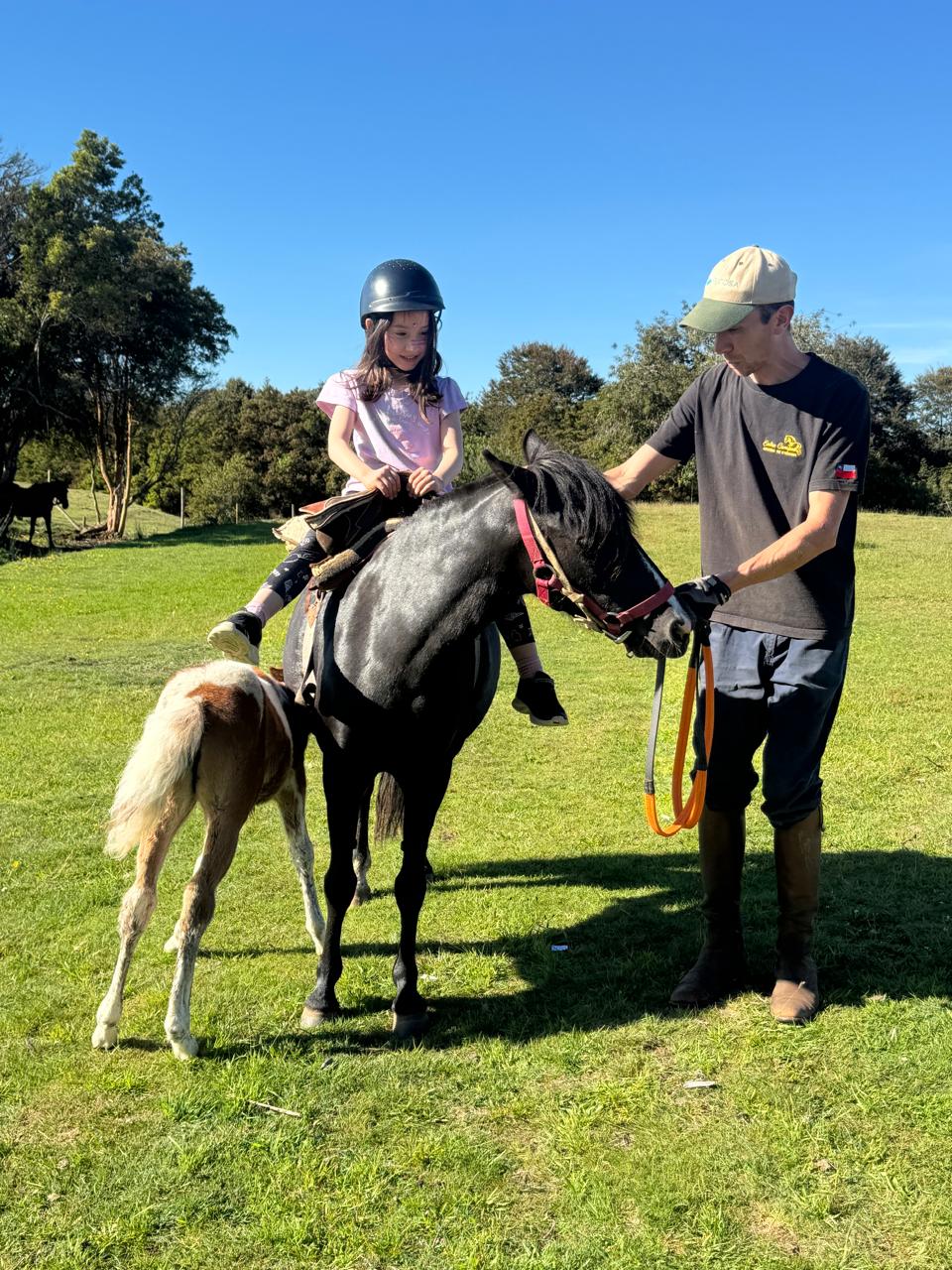 Cumpleaños Aventureros Entre Campos