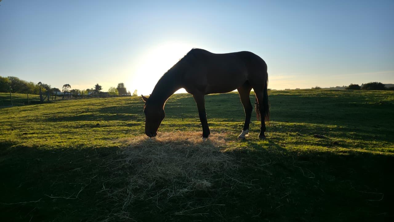 Centro de eventos Entre Campos